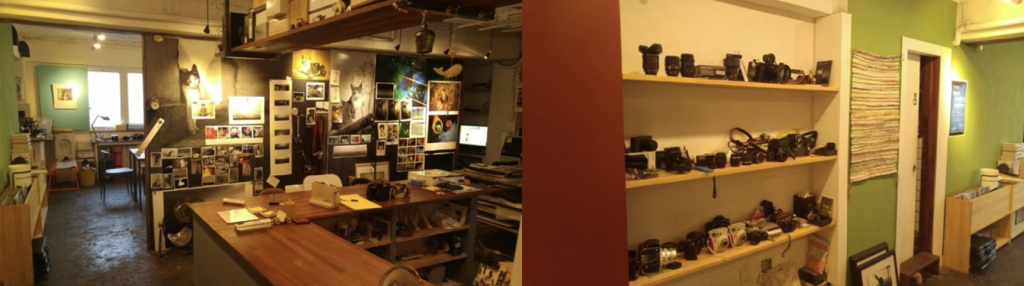 필름 카메라 데이트